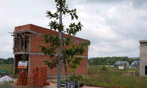 Bình Dương: Những ai ăn chia lợi ích từ việc “xẻ thịt” đất công ích? (Bài 3)